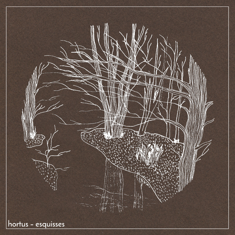 esquisses